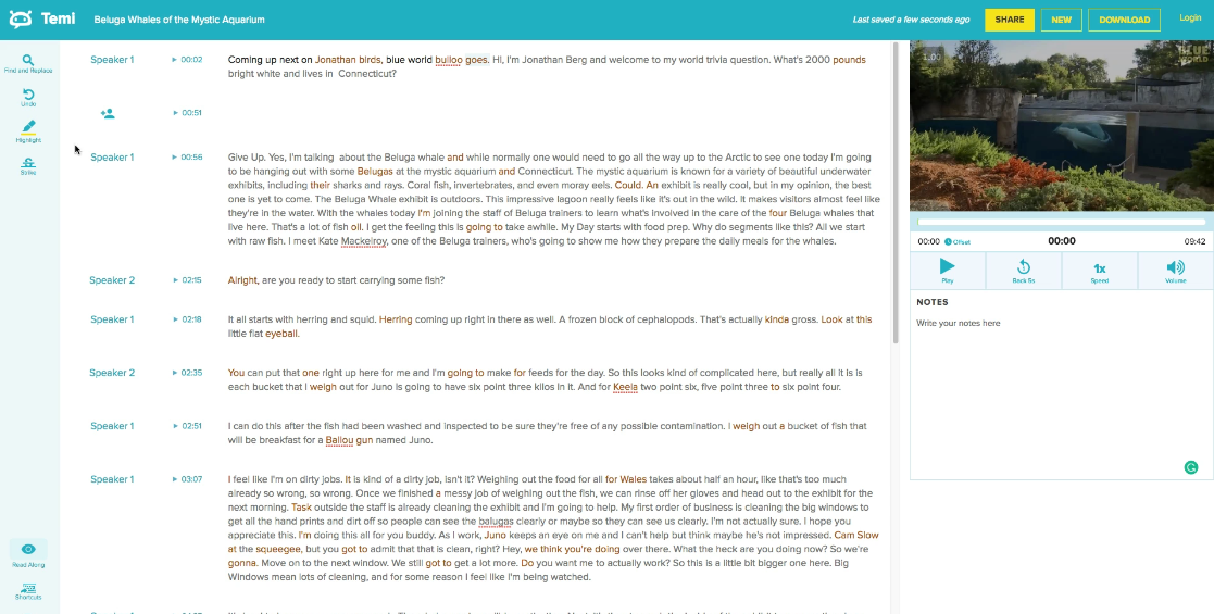 Temi interface screenshot